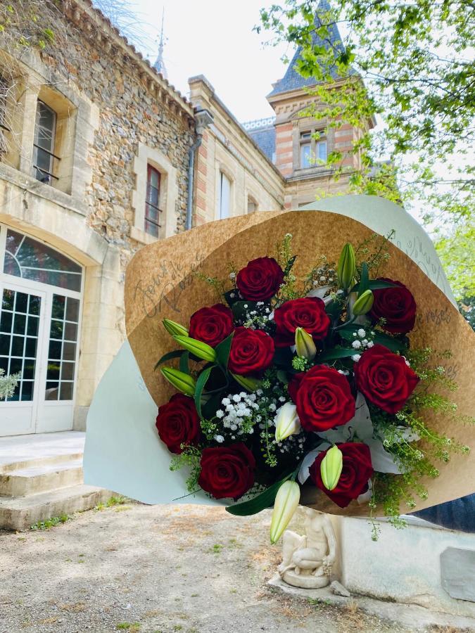 Chateau De La Prade Narbonne Ngoại thất bức ảnh